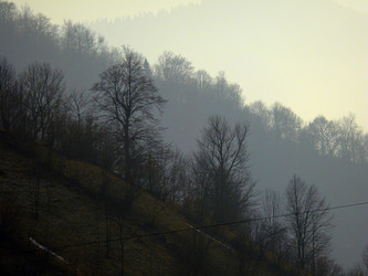 Similar image 11456859