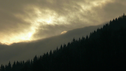 Similar image 11456874