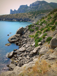 Similar image 11456910