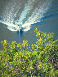 Similar image 11456916