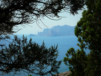 Similar image 11456924