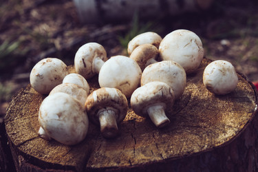 Similar image 11457123