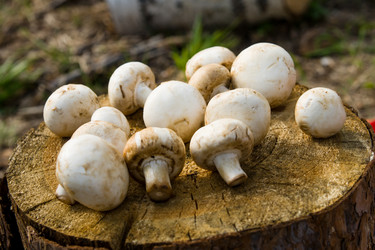 Similar image 11457125