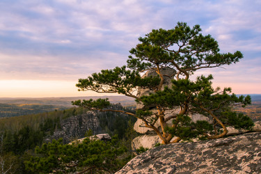 Similar image 11457171