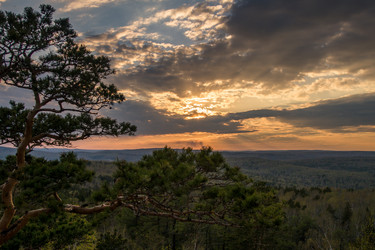 Similar image 11457174