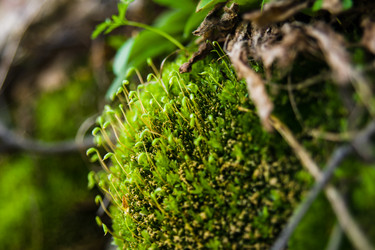 Similar image 11457208