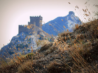 Similar image 11456982