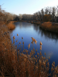 Similar image 11457019