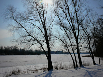 Similar image 11457020