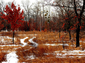 Similar image 11457022