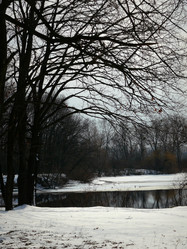 Similar image 11457023