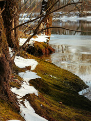 Similar image 11454224