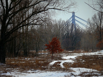 Similar image 11454225