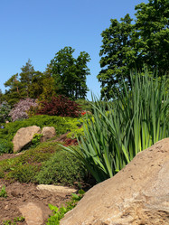 Similar image 11454227