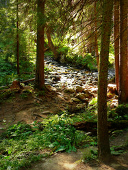 Similar image 11454228