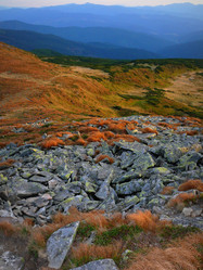 Similar image 11454231