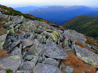 Similar image 11454232