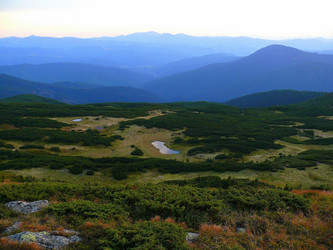 Similar image 11454235