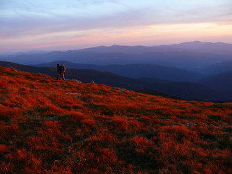 Similar image 11454236