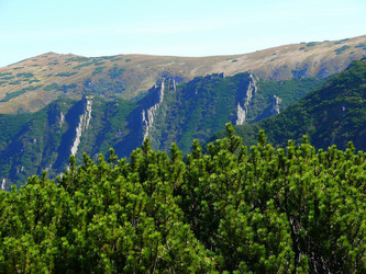 Similar image 11454238