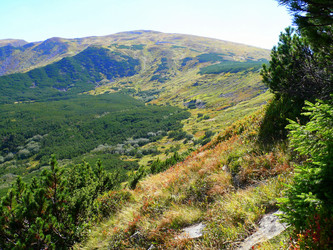 Similar image 11454239