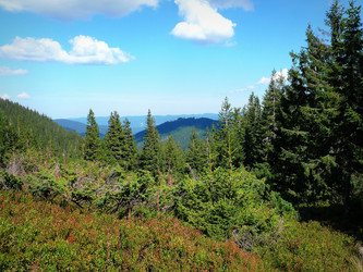 Similar image 11454240