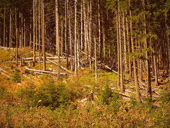 Similar image 11454241