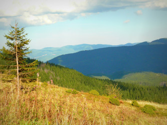 Similar image 11454243