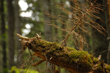 Similar image 11454248