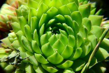 Similar image 11454249