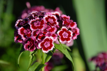 Similar image 11454253