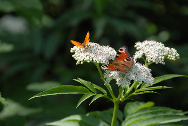 Similar image 11456347