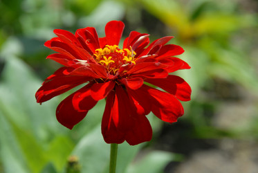 Similar image 11456404