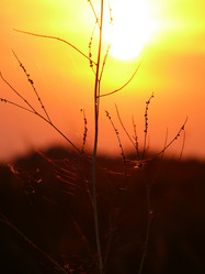 Similar image 11454258