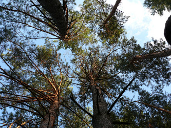 Similar image 11454259