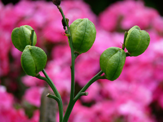 Similar image 11454262