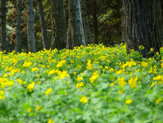 Similar image 11453123