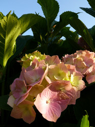 Similar image 11453131