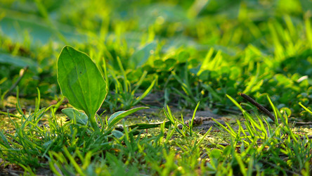 Similar image 11456941