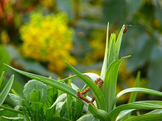 Similar image 11456942