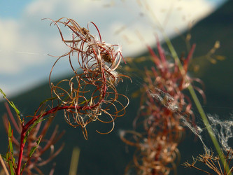 Similar image 11456943