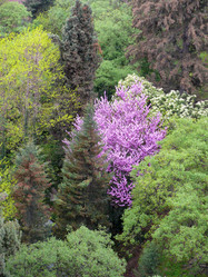 Similar image 11456944