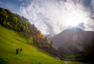 Similar image 11462535