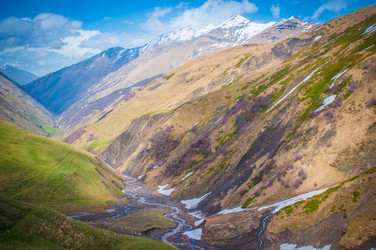 Similar image 11462496