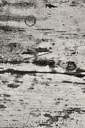 Similar image 11464794