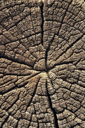 Similar image 11464795