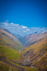 Similar image 11462502