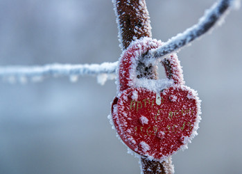 Similar image 11452110