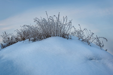 Similar image 11452134