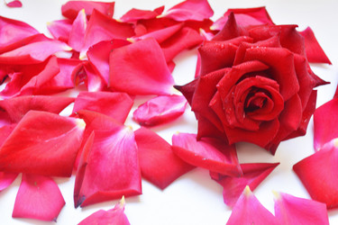 Similar image 11452092